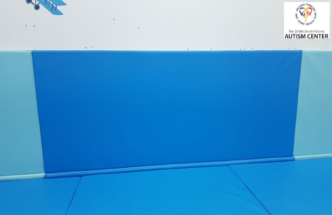 Padded Wall Mats (6)